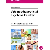Veřejné zdravotnictví a výchova ke zdraví - E-kniha