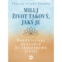 Miluj život takový, jaký je - E-kniha