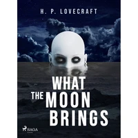 What the Moon Brings - E-kniha