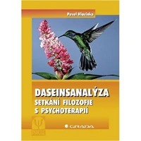 Daseinsanalýza - E-kniha