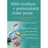 MBA studium v podmínkách české praxe - E-kniha