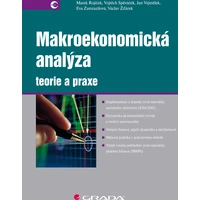 Makroekonomická analýza - teorie a praxe - E-kniha