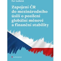 Zapojení ČR do mezinárodního úsilí o posílení globální měnové a finanční stability - E-kniha