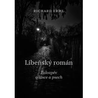 Libeňský román - E-kniha