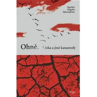 Ohně. Láska a jiné katastrofy - E-kniha