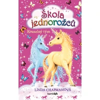 Škola jednorožců – Kouzelný tým - E-kniha