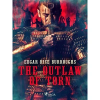 The Outlaw of Torn - E-kniha