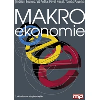Makroekonomie - E-kniha