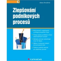 Zlepšování podnikových procesů - E-kniha