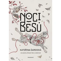 Noci běsů - E-kniha