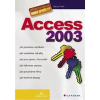 Access 2003 - E-kniha