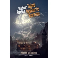 Tajná historie Bornnu - E-kniha