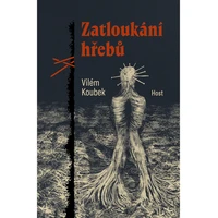 Zatloukání hřebů - E-kniha