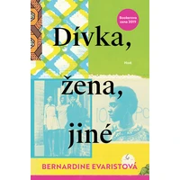 Dívka, žena, jiné - E-kniha
