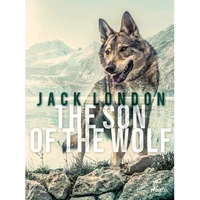The Son of the Wolf - E-kniha